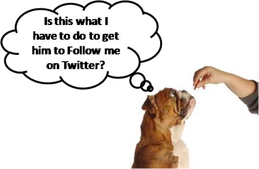 5 Proven Ways to Get More Followers on Twitter without Buying Them