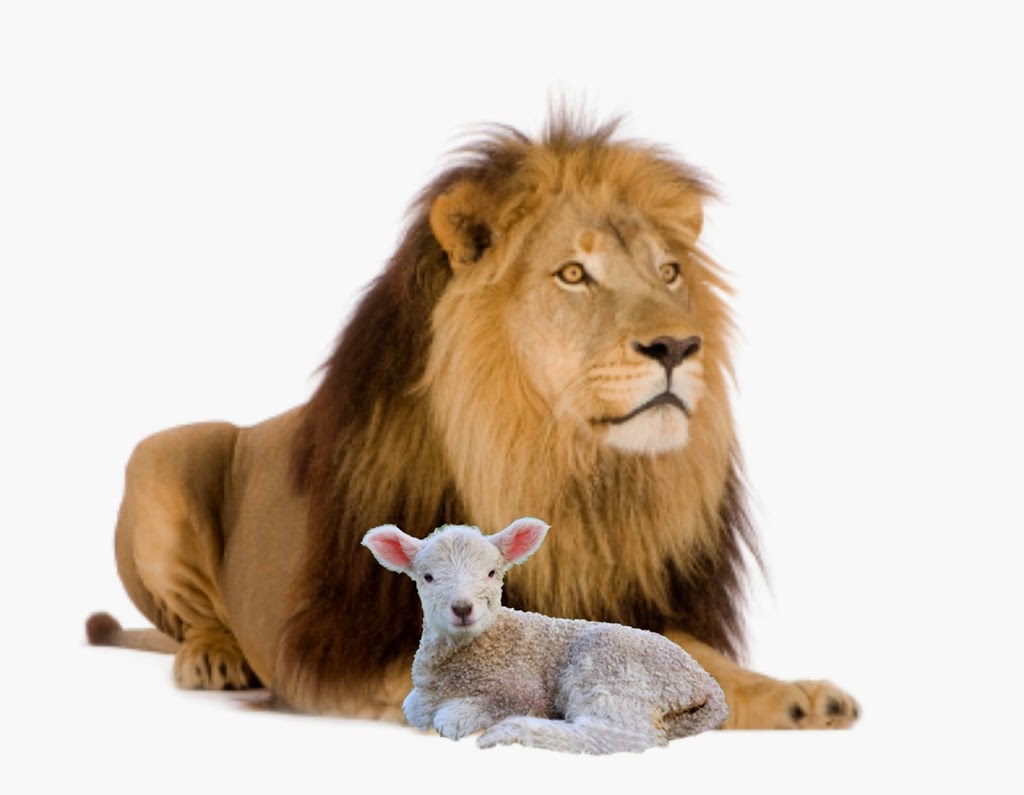 Using Relationships To Out Run a Lion - The Marketing Sage