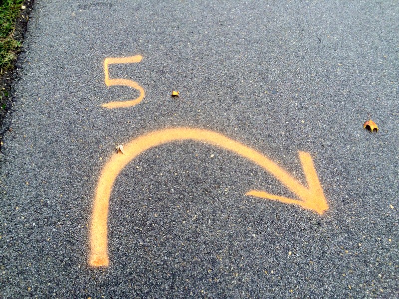 Five Marketing Lessons for a New Business