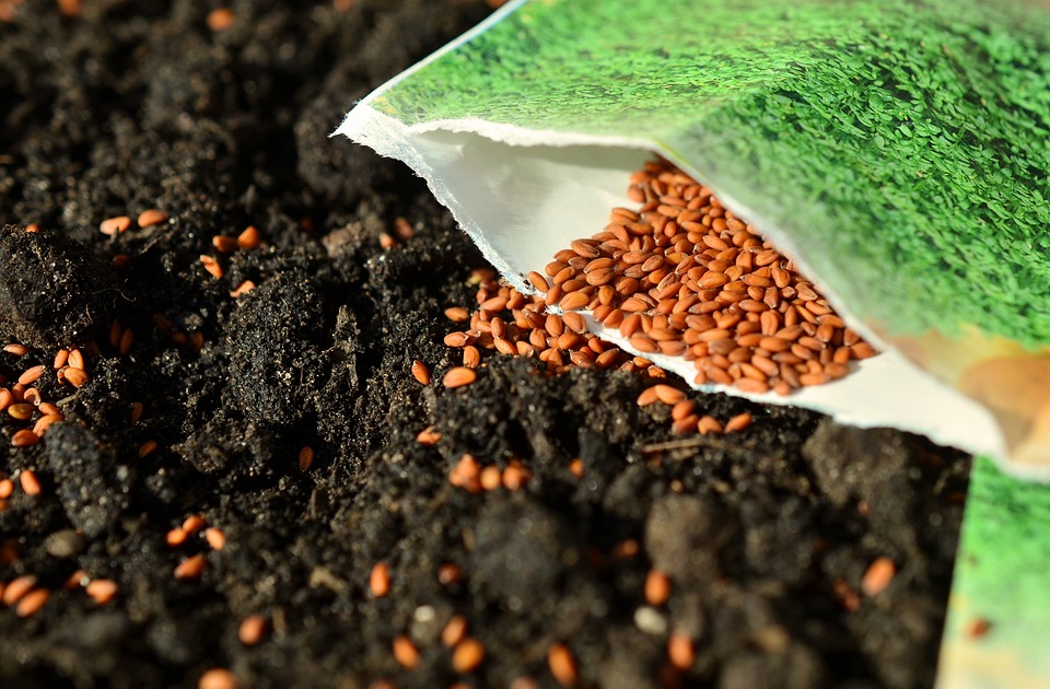 Nurturing Leads not Filling a Pipeline