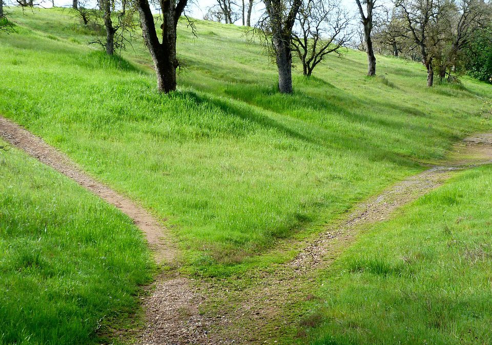Moving a Brand Along a Journey