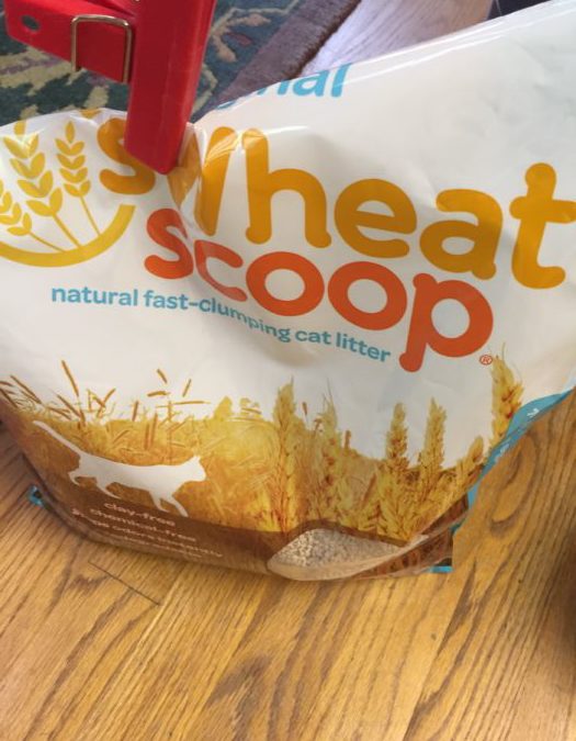 The Scoop on New Product Development