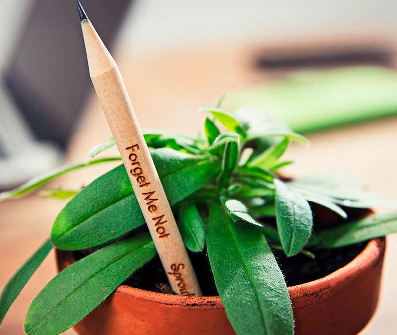 Sprout – Plant Your Pencil
