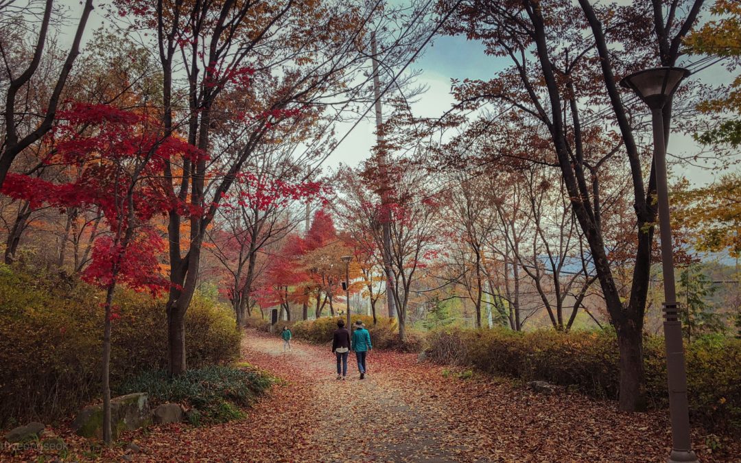 Walking Meetings