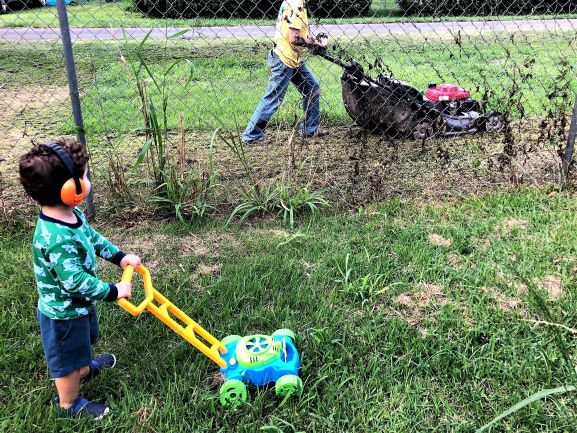 Lions and Tigers and Lawnmowers, oh my.