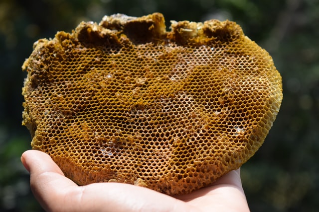 The Honeycomb Model of Social Media