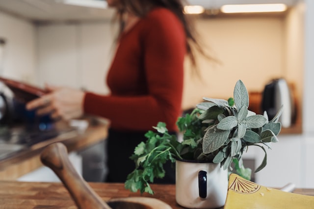 Sage-Infused Moments of Grace and Gratitude. The Scent of Now.